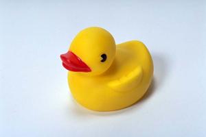 ドンキホーテ大原孝治の詳細プロフィールと実績