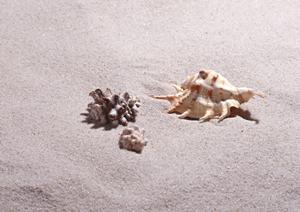 マグネット式缶バッチの発注方法